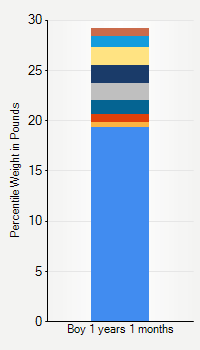 Weight chart for boys 1 year 1 month of age