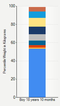 Weight chart for boys 18 years 10 months of age