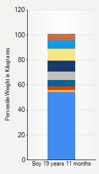 Weight chart for boys 19 years 11 months of age