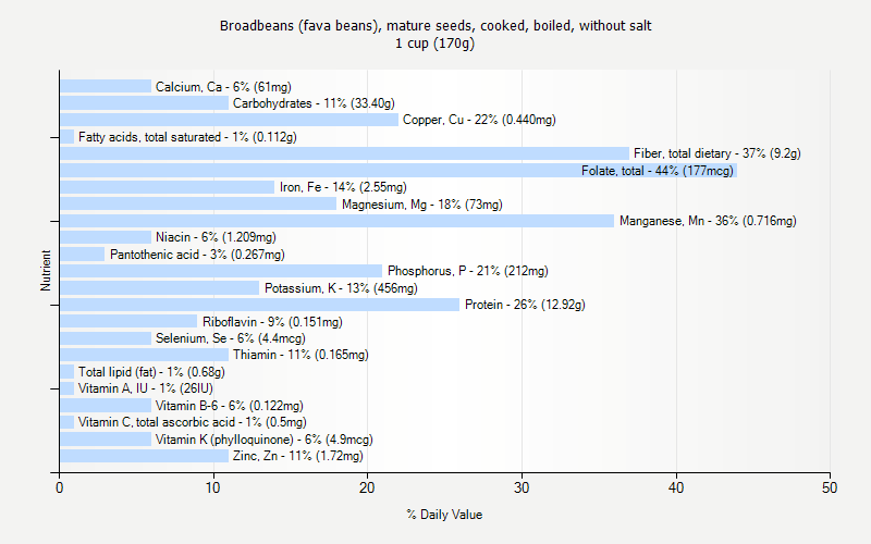 Broadbeans fava Beans Mature Seeds Cooked Boiled Without Salt Nutrition