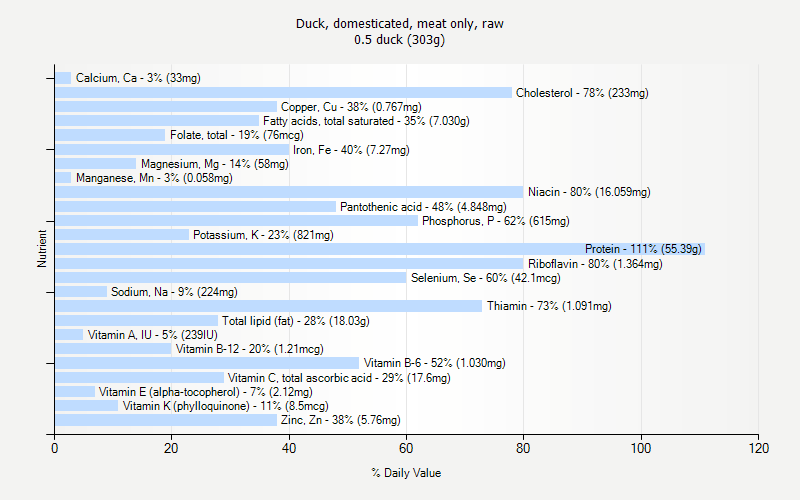 Duck Domesticated Meat Only Raw Nutrition